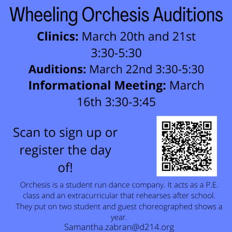 Orchesis Auditions