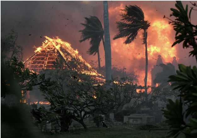 Maui In Flames; How To Help Lāhainā